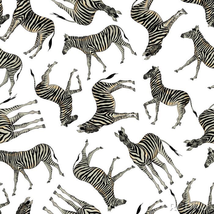 Behang Wandelende zebra's op een witte achtergrond