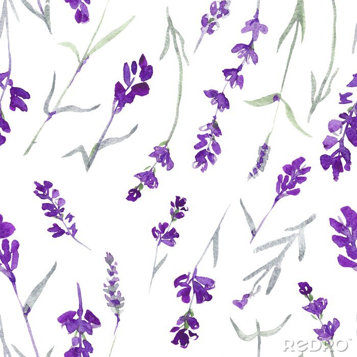 Behang watecolor lavendel delicaat naadloos patroon op witte achtergrond