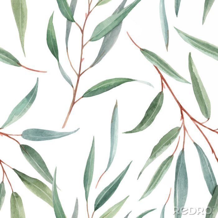 Behang Watercolor australian floral vector pattern