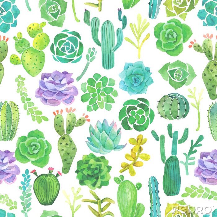 Behang Watercolor cactus en succulent naadloos patroon