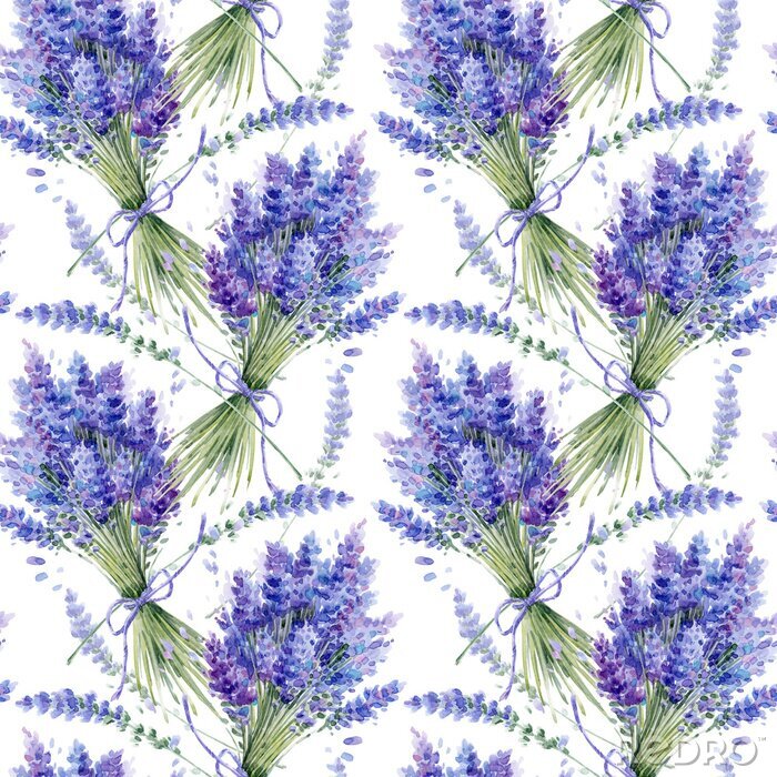 Behang Watercolor hand drawn texture (pattern) with lavender bouquets on white background