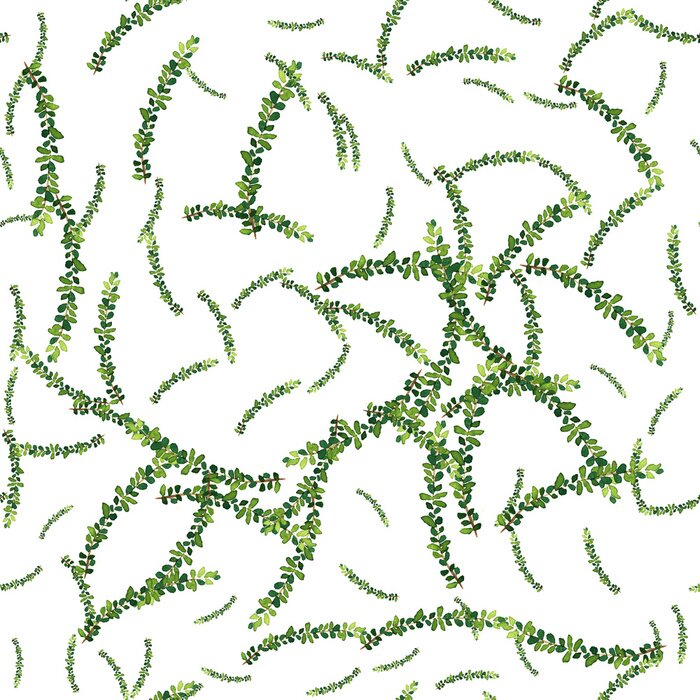 Behang Watercolor naadloze patroon met kruiden en bladeren.