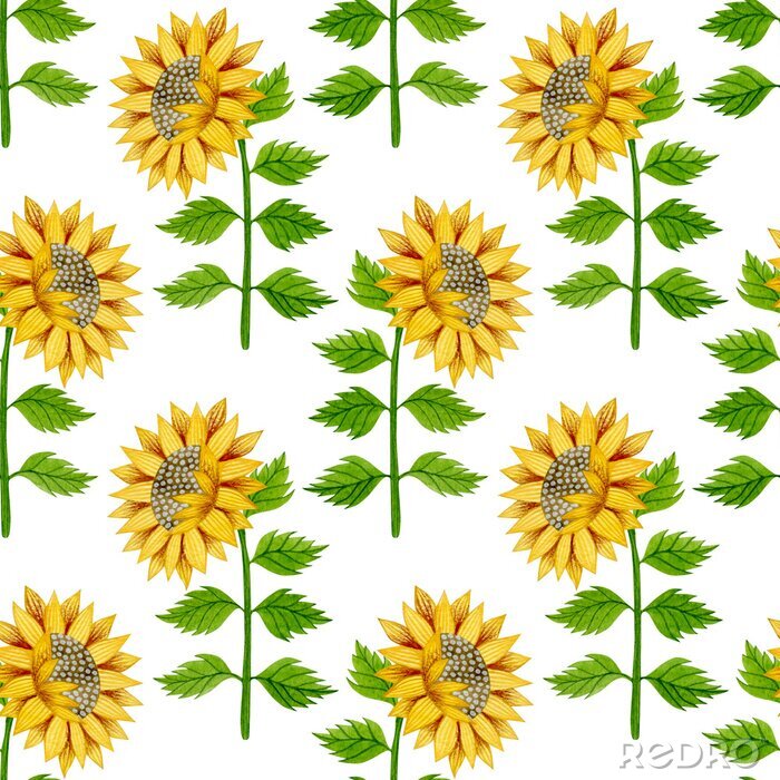 Behang Watercolor seamless pattern of sunflowers and leaves on a white background.