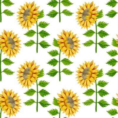 Behang Watercolor seamless pattern of sunflowers and leaves on a white background.