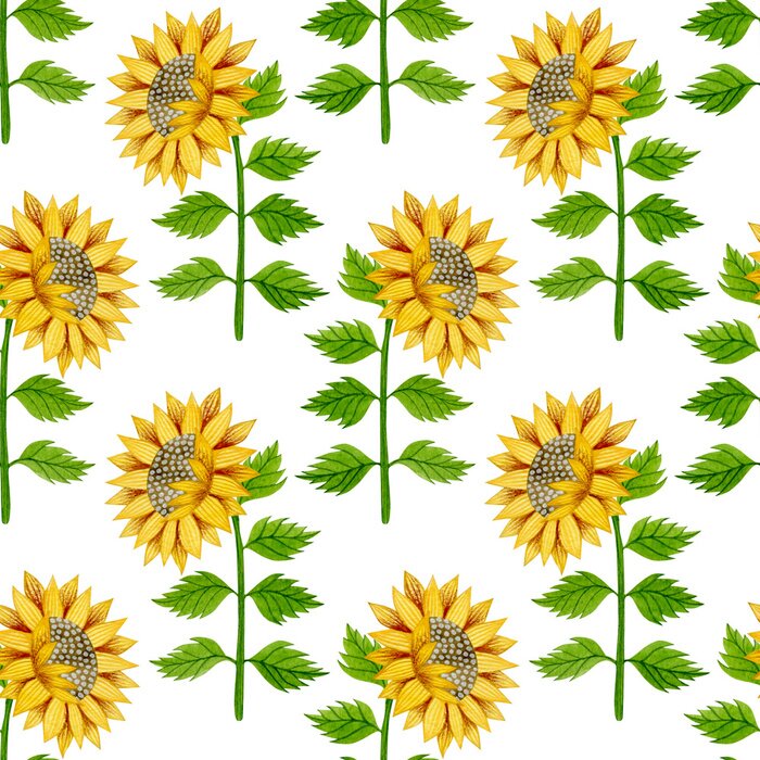 Behang Watercolor seamless pattern of sunflowers and leaves on a white background.