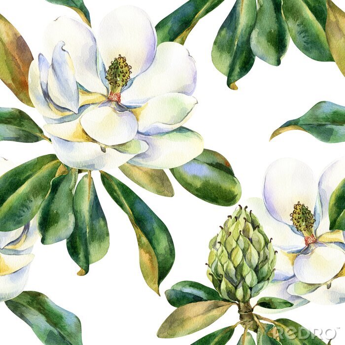 Behang Watercolor seamless pattern with white magnolia, green leaves, botanical painting isolated on a white background, floral painting, stock illustration.