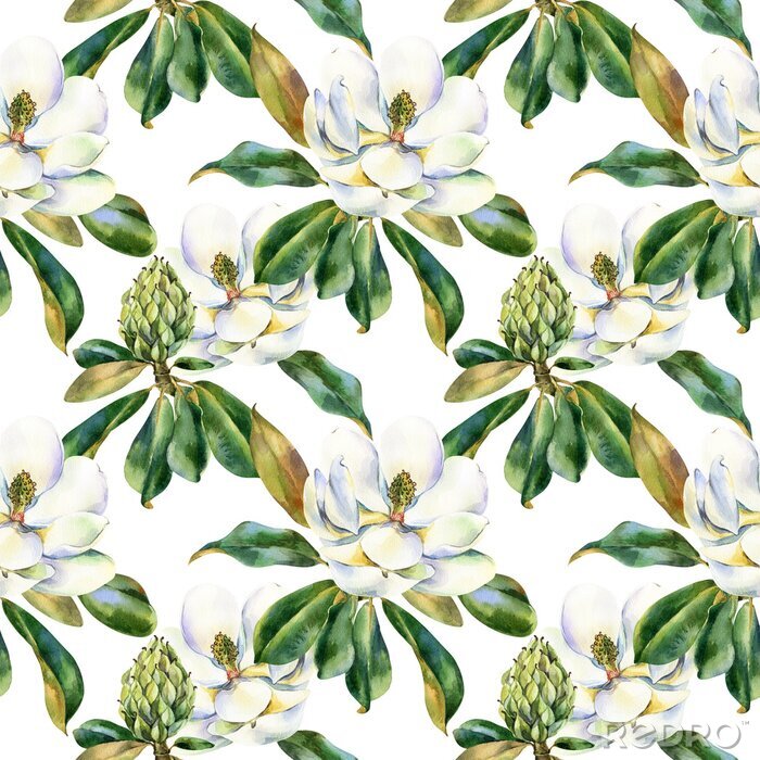 Behang Watercolor seamless pattern with white magnolia, green leaves, botanical painting isolated on a white background, floral painting, stock illustration. Fabric wallpaper print texture.