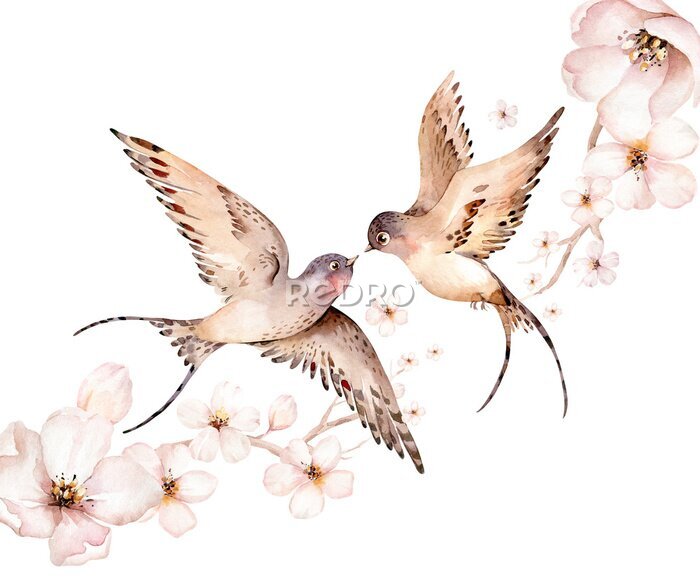 Behang Watercolor spring flying swallows isolated and blossom flowers on white background