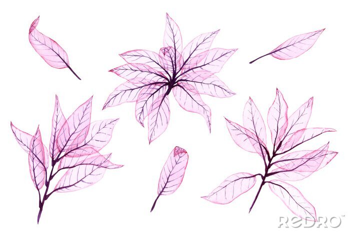 Behang Watercolor transparent leaves. Hand painted pink leaves perfect for card making and label. Illustration