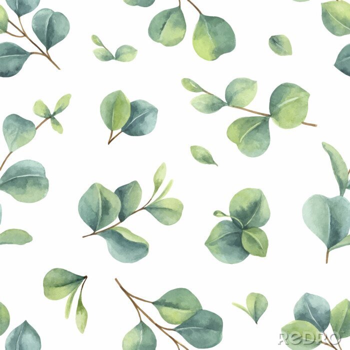 Behang Watercolor vector hand painted seamless pattern with green eucalyptus leaves.