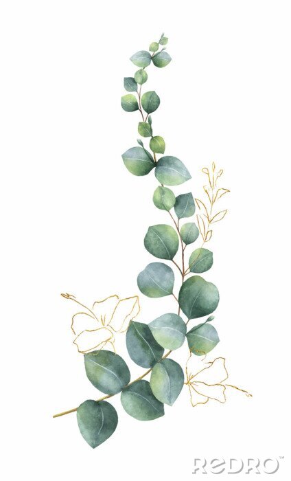 Behang Watercolor vector wreath with green eucalyptus leaves and gold elements