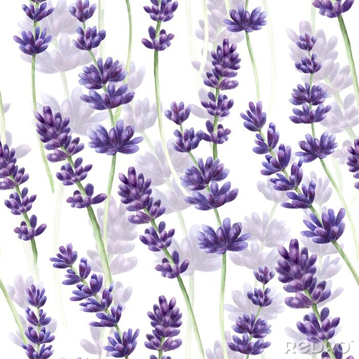 Behang Waterverf handgetekende lavendel naadloze patroon achtergrond