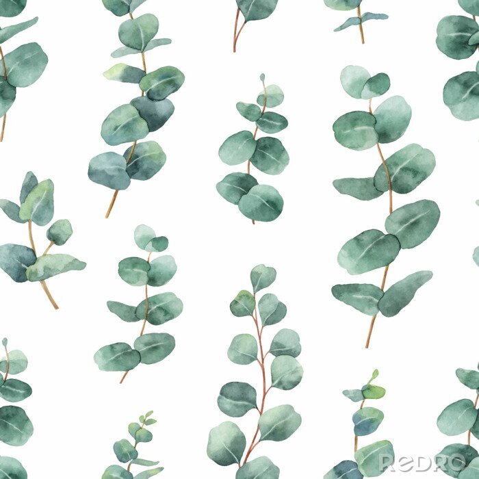 Behang Waterverf vector naadloos patroon met de de zilveren bladeren en takken van de dollareucalyptus.
