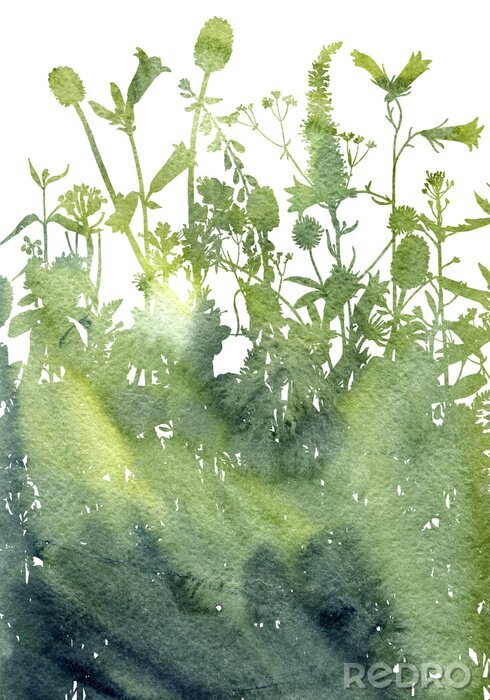 Behang Waterverfachtergrond met tekeningskruiden en bloemen