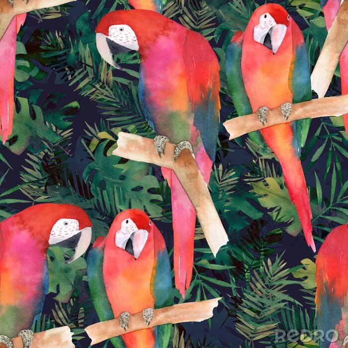 Behang Waterverfpatroon met exotische papegaaivogels