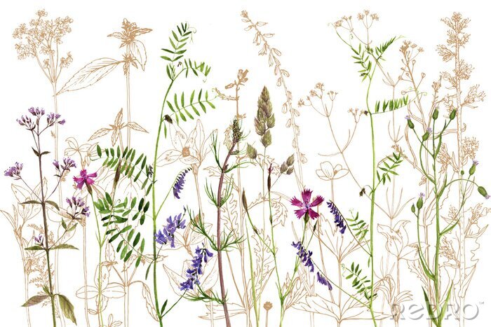 Behang waterverftekening bloemen en planten