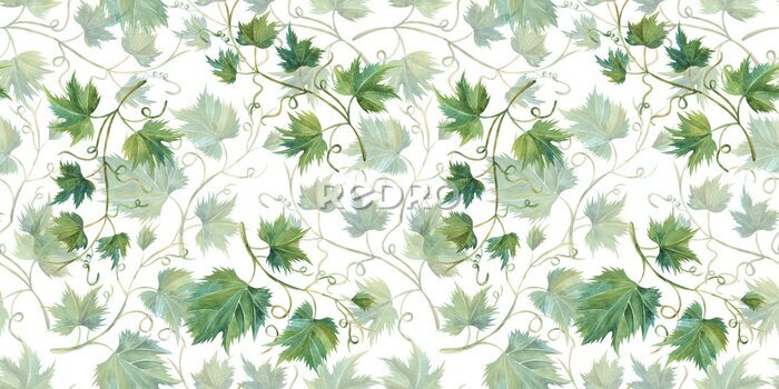 Behang Wijnstok groen