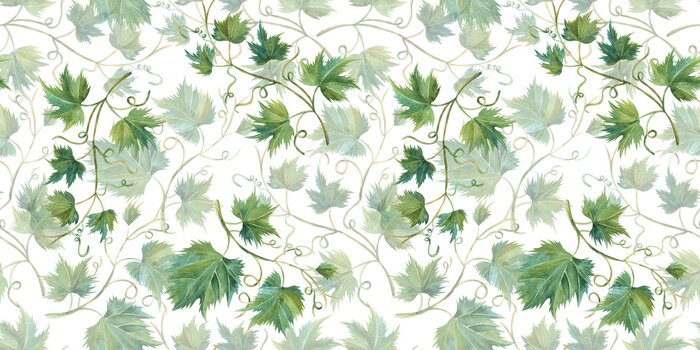 Behang Wijnstok groen