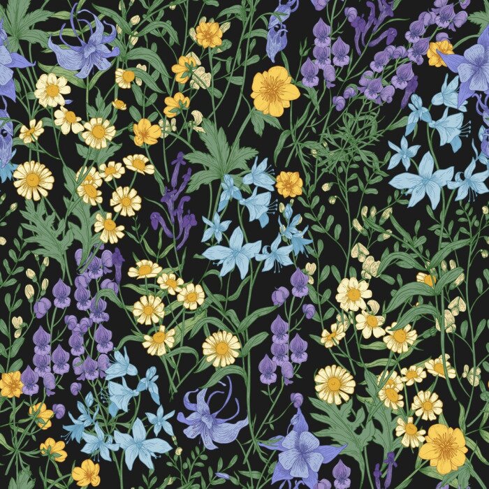 Behang Wilde bloemen op een zwarte achtergrond