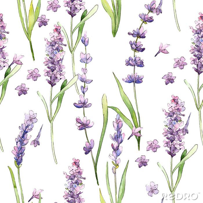 Behang Wildflower lavendel bloemenpatroon in een aquarel stijl. Volledige naam van de plant: lavendel. Aquarelle wilde bloem voor achtergrond, textuur, omslagpatroon, kader of grens.