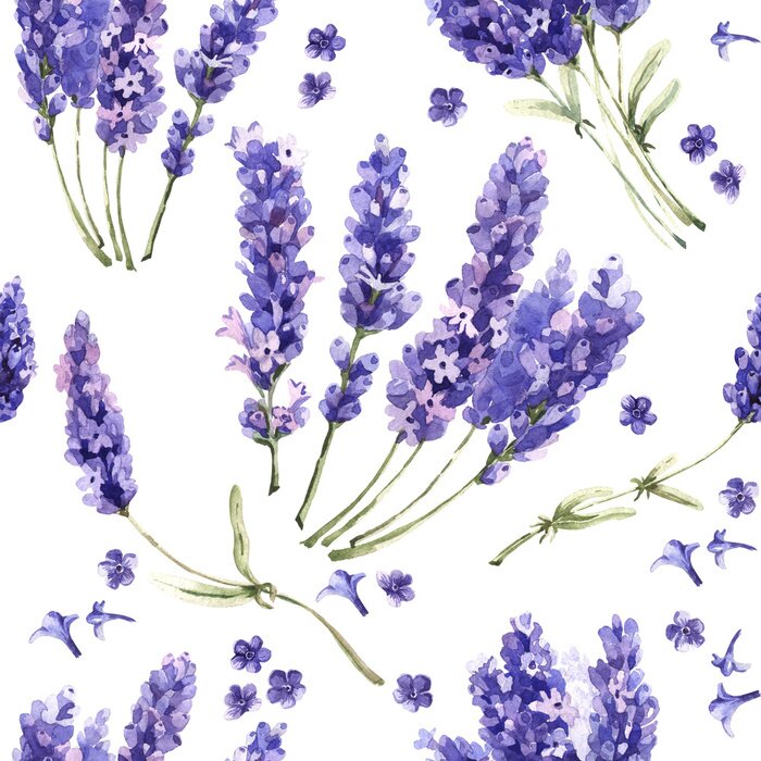 Behang Wildflower lavendel bloempatroon in een aquarel stijl geïsoleerd.
