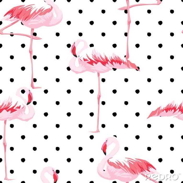 Behang Wit thema met zwarte stippen en flamingo's