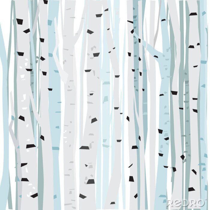 Behang Witte bomen - berken in het bos