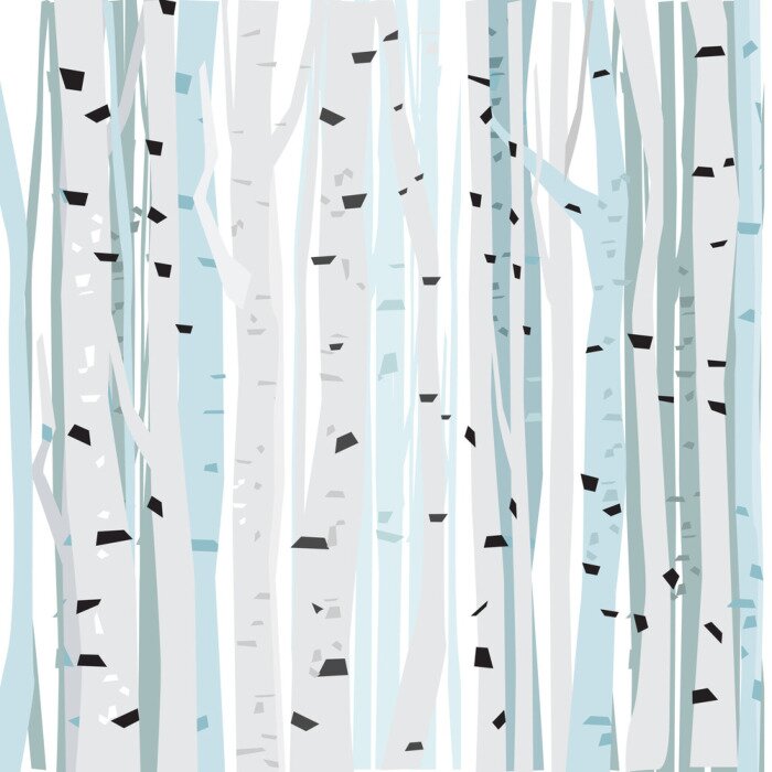 Behang Witte bomen - berken in het bos