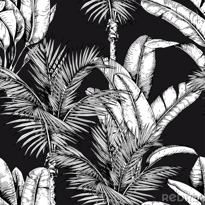 Behang Witte tropische planten op een zwarte achtergrond