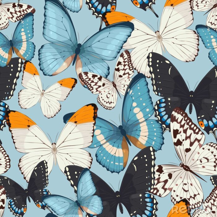 Behang Witte zwarte en blauwe vlinders