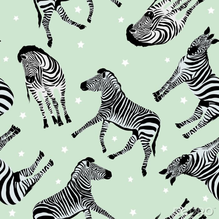 Behang Zebra's en sterren op een groene achtergrond