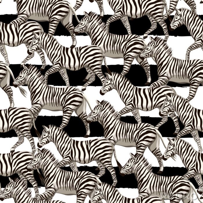 Behang Zebra's op een gestreepte achtergrond