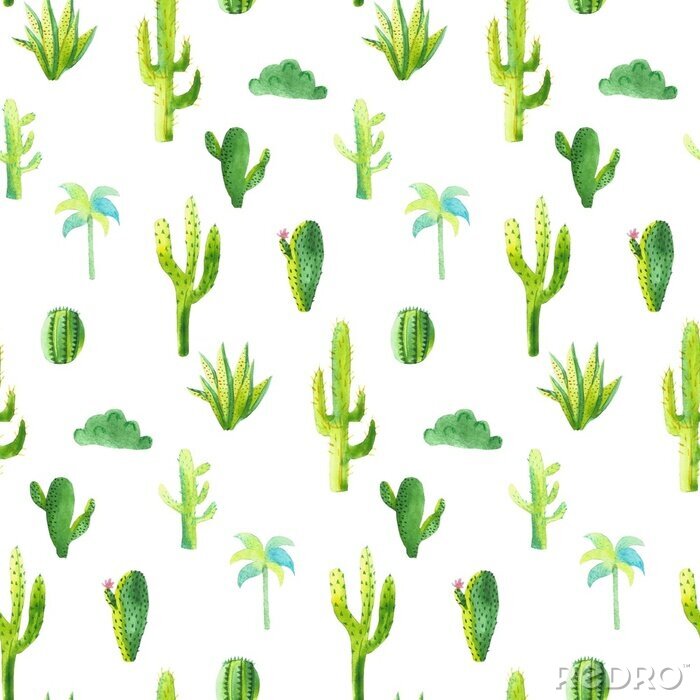 Behang Zoete groene cactussen
