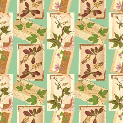 Behang Zomer kaasjeskruid en bladeren op vintage ansichtkaarten