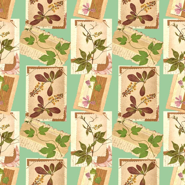 Behang Zomer kaasjeskruid en bladeren op vintage ansichtkaarten