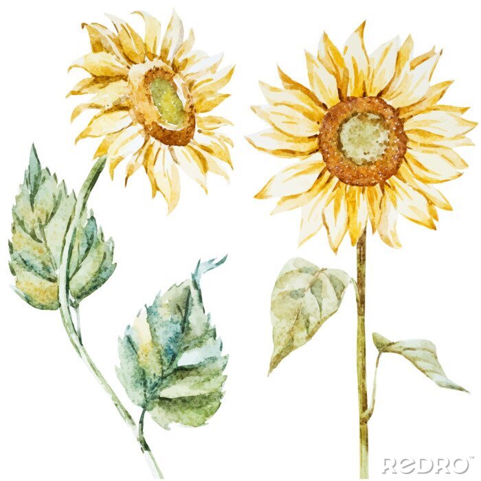 Behang Zonnebloemen in boho stijl