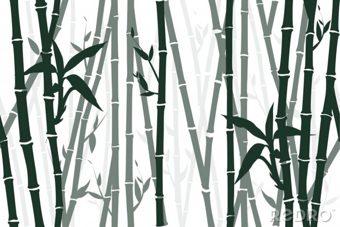 Behang Zwart-wit achtergrond met bamboe