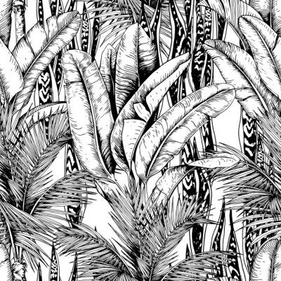 Behang Zwart-wit blad uit de tropen