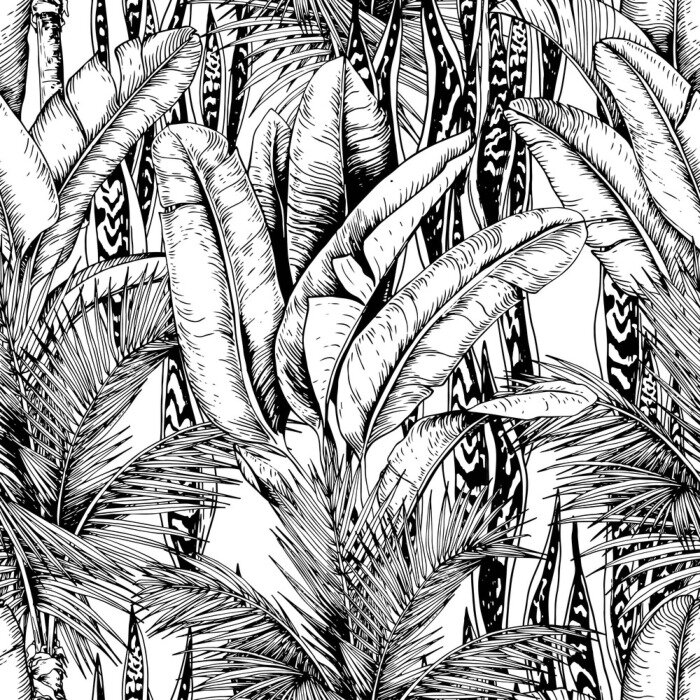 Behang Zwart-wit blad uit de tropen