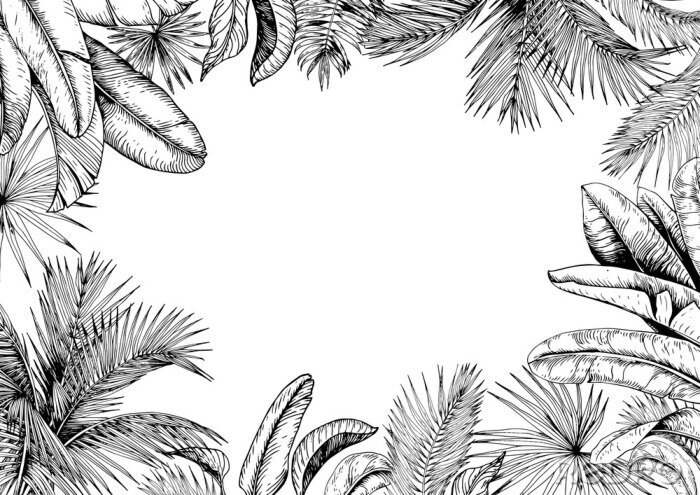 Behang Zwart-wit frame met bladeren van tropische planten
