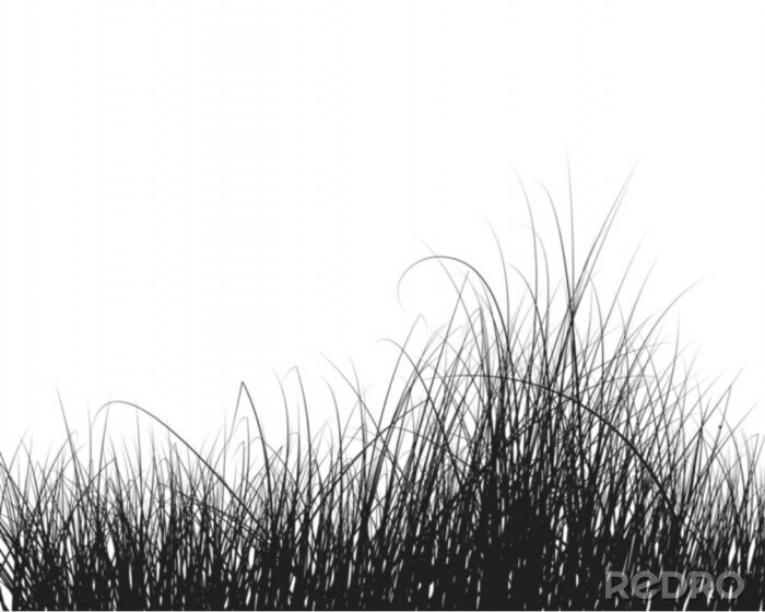 Behang Zwart-wit gras