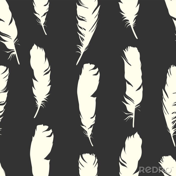Behang Zwart-wit motief in vogelveren