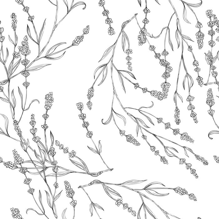 Behang Zwart-wit motief met lavendeltakjes