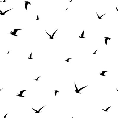 Behang Zwart-wit motief met vliegende vogels