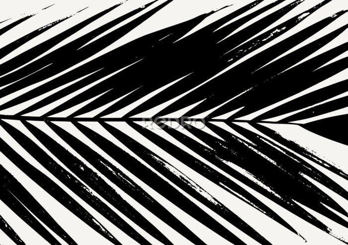 Behang Zwart-wit palmboomblad