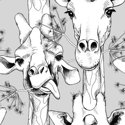 Behang Zwart-wit schattige giraffen op een grijze achtergrond