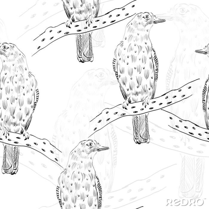 Behang Zwart-wit schets met vogels