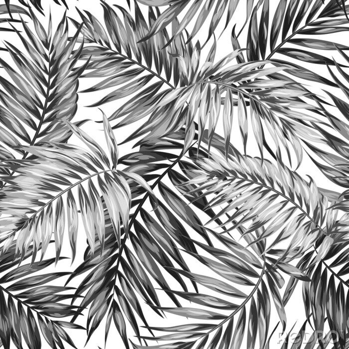 Behang Zwart-wit tekening van palmbladeren
