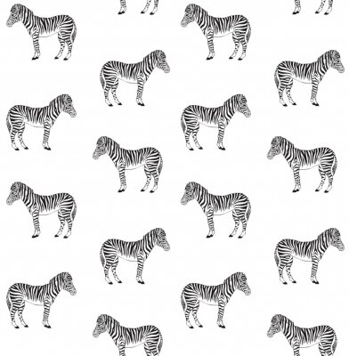 Behang Zwart-wit zebra patroon op witte achtergrond