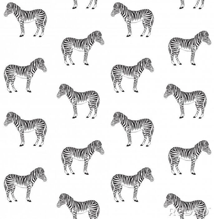 Behang Zwart-wit zebra patroon op witte achtergrond